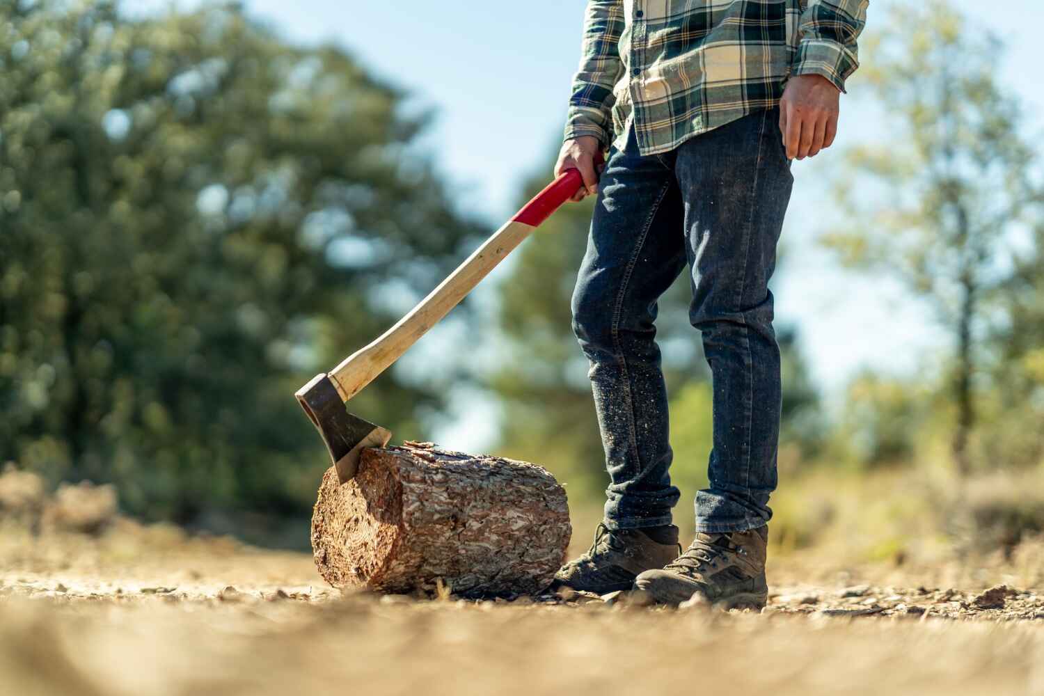 Tree Branch Trimming